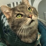 Entry image for Quiksilver