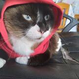 Entry image for Emmett