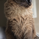 Entry image for Ruckus 