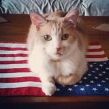 Entry image for Riley Marshall