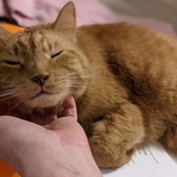 Entry image for Fred