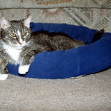 Entry image for Neo (GA)