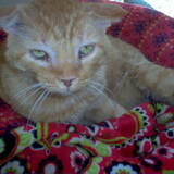 Entry image for Arthur