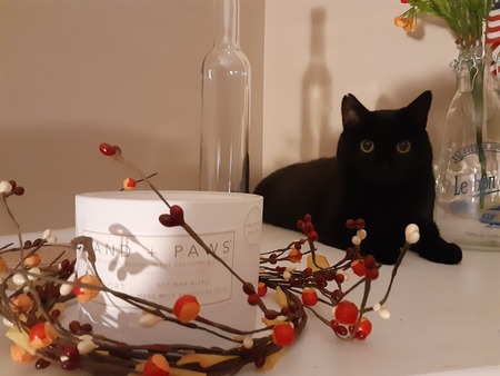 Entry image for Truffles . Clicking this image will show a larger photo