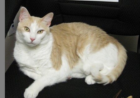 Entry image for Cedric. Clicking this image will show a larger photo