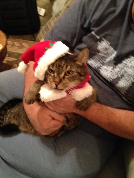 Entry image for Thomas O’MALLEY . Clicking this image will show a larger photo