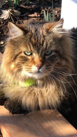 Entry image for Tony. Clicking this image will show a larger photo