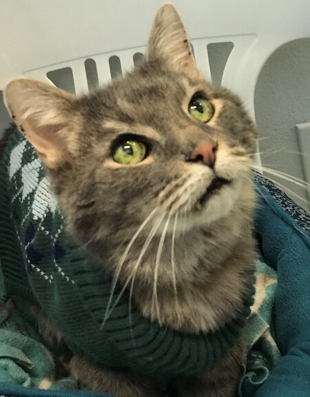 Entry image for Quiksilver. Clicking this image will show a larger photo