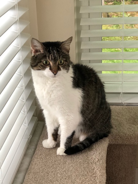 Entry image for Marcella. Clicking this image will show a larger photo