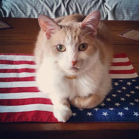 Entry image for Riley Marshall. Clicking this image will show a larger photo