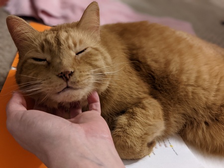 Entry image for Fred. Clicking this image will show a larger photo