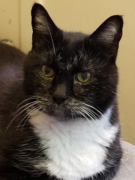 Entry image for Tayo . Clicking this image will show a larger photo