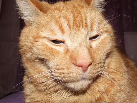 Entry image for Merlyn. Clicking this image will show a larger photo