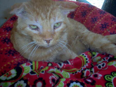 Entry image for Arthur. Clicking this image will show a larger photo