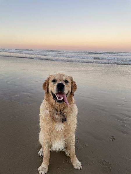 Huey