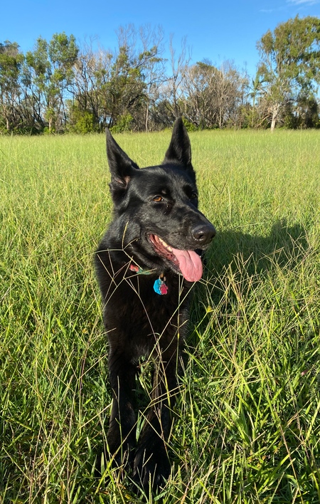 Cinder