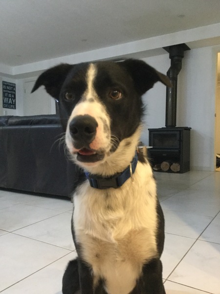 Mack