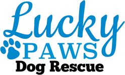 https://www.luckypaws.com.au/