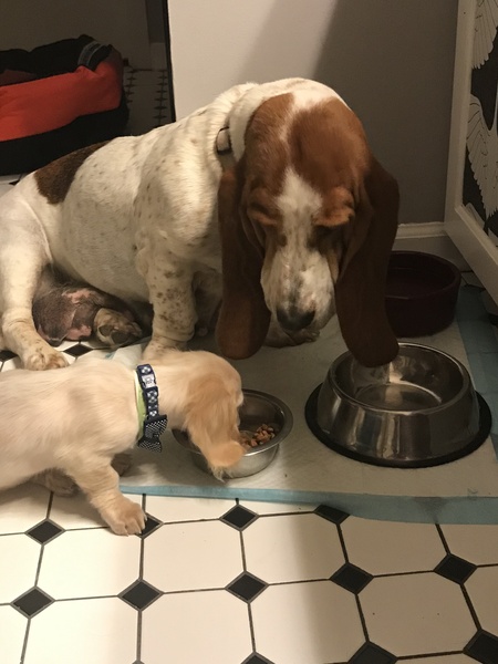 Miss Peggy and baby Hank