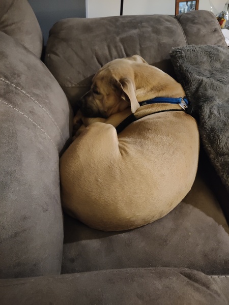 Tater