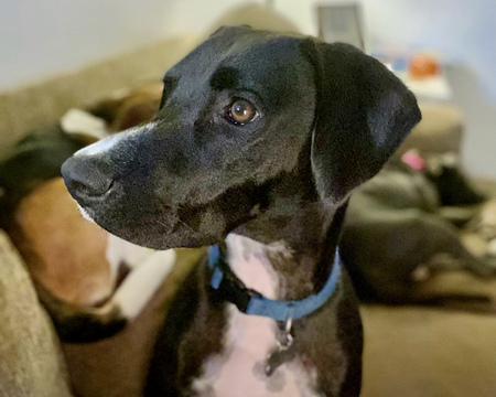 Zeke