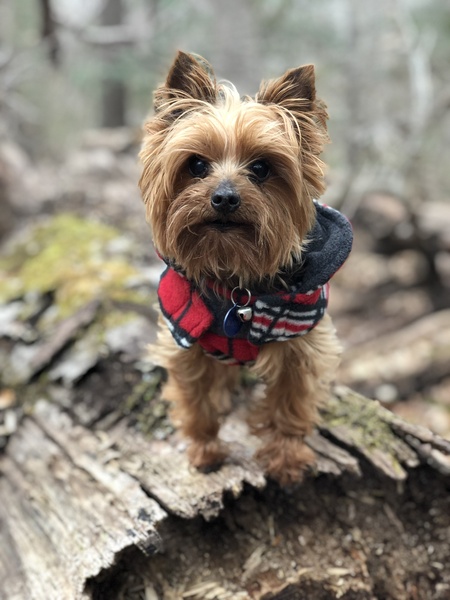 Walter