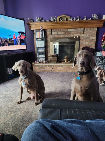 Eli and Milo 