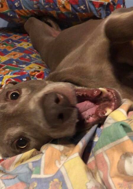 Renly