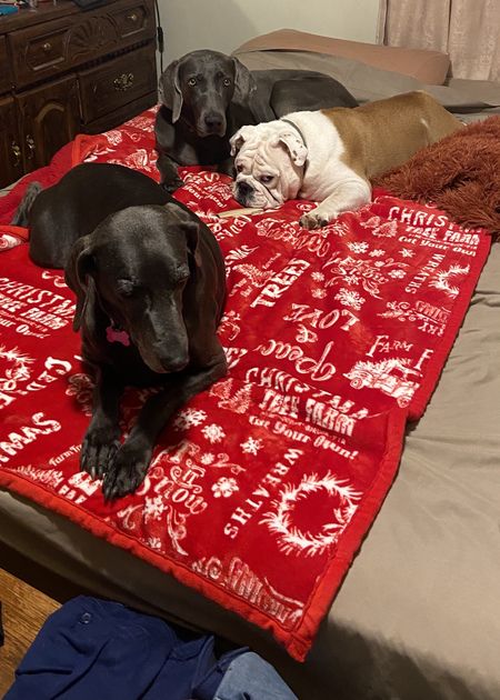 Gabby, Casper, Chloe