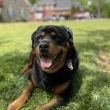 Entry image for Zeke