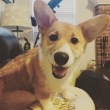 Entry image for Monty