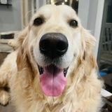 Entry image for Bruce