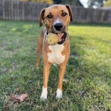 Entry image for Ellie
