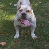 Entry image for Otis