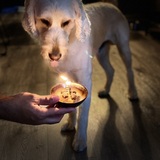 Entry image for Cooper