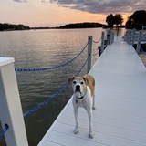 Entry image for Maggie