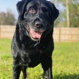 Entry image for Ellie Mae