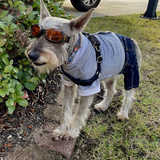 Entry image for Bentley 