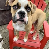 Entry image for Frank
