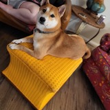 Entry image for Felix