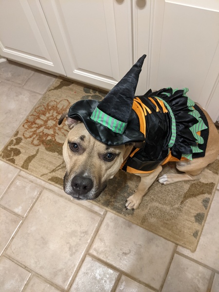 Entry image for Payton. Clicking this image will show a larger photo