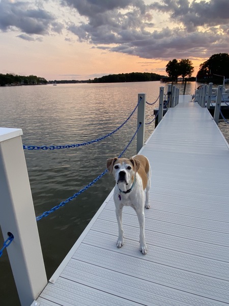 Entry image for Maggie. Clicking this image will show a larger photo