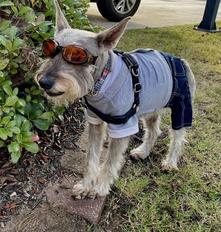 Entry image for Bentley . Clicking this image will show a larger photo