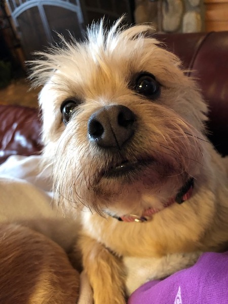 Entry image for Jessie. Clicking this image will show a larger photo