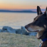 Entry image for Mona