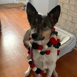 Entry image for Atalaya