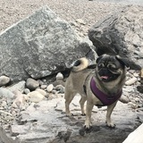 Entry image for Lana