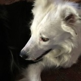 Entry image for Cassie