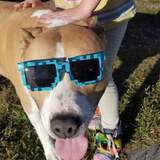 Entry image for Sawyer