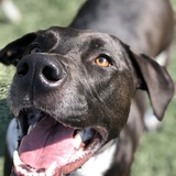 Entry image for Luneth